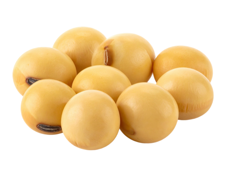 Close-up of several round, light yellow soybeans