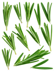 Fresh rosemary sprigs, close-up view
