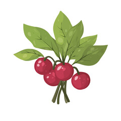 A Minimalistic 2D flat icon featuring a sorrel bunch set, clean vector design, simple illustration style, isolated on a white background, and modern element in vector and EPS format. simple icon