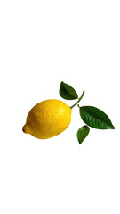 Close-up of a single, ripe, yellow lemon with leaves