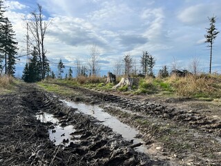 Tire tracks in a muddy road in the mountains
