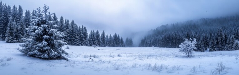 Naklejka premium A vast winter scene showcases snow-covered trees and a peaceful meadow. Mist envelopes the distant mountains, creating a calm atmosphere. The landscape looks quiet and untouched