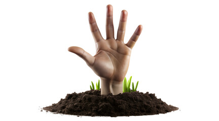 hands holding a plant