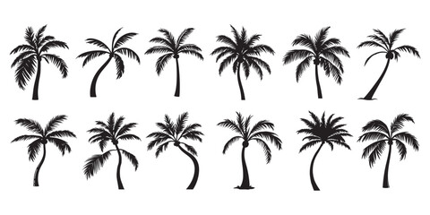Tropical Palm Tree Silhouette Pack, Island Vibe Coconut Tree Set in Vector