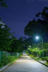 安全な夜道と豊かな緑：ウォーキング、ランニングのイメージ