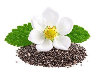 Close-up of a white flower atop a pile of chia seeds with leaves