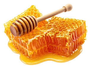Honeycomb chunks with wooden dipper.  Golden honeycombs, glistening with honey, are shown in close-up.  A wooden dipper rests atop the honeycombs