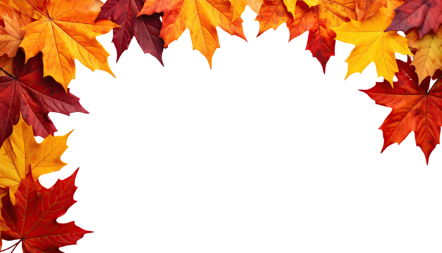 Autumn leaves frame a black void. Vivid orange, red, and maroon maple leaves form a circular border around a solid black center