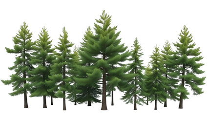 Fototapeta premium Group of green pine trees isolated on a white background 