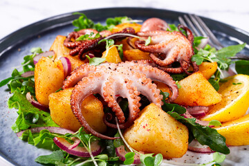 Grilled octopus dish, with baked potatoes, and fresh herbs, on a marble table, homemade, no people