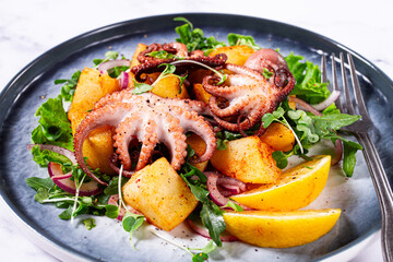 Grilled octopus dish, with baked potatoes, and fresh herbs, on a marble table, homemade, no people
