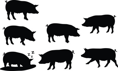 Pig silhouette collection, farm animal vector, black pig clipart, pig poses illustration, livestock graphic, agriculture design, domestic pig artwork, nature symbol