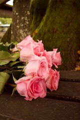 A bouquet of soft pink roses rests on a wooden surface at the base of a mossy tree, creating an atmosphere of romance and tranquility in nature.