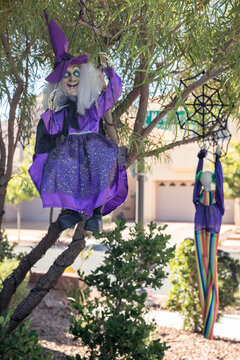 Halloween doll dressed as witch hanging on the tree