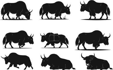 Yak silhouettes, grazing, walking, standing, resting, Himalayan pack animal, mountain livestock, rural farming, black vector design, wildlife illustration, agriculture transport, culture