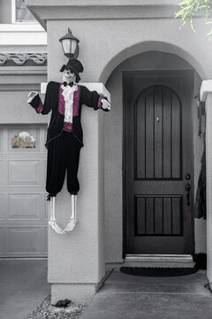 Spooky skeleton hanging on the wall for Halloween celebration, USA