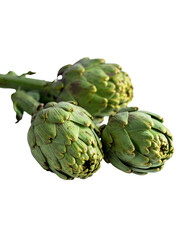 Obraz premium Fresh artichokes, three heads clustered, light green, on stems