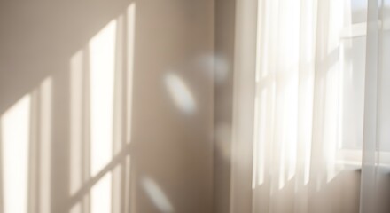 Soft sunlight streaming through a sheer curtain, casting gentle shadows on the wall, creating a warm and inviting atmosphere in the room