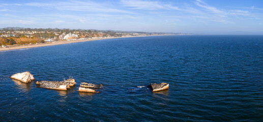 The SS Palo Alto wreck lies broken in calm blue waters near Aptos, California, with seabirds perched on its remains and a sandy beach in the background.