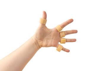 Raw Calamarata Big Pasta Isolated, Homemade Dry Macaroni, Italian Raw Round Noodle