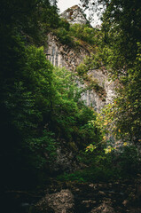 Towering Limestone Cliff Face Covered in Lush Green Forest Foliage in a Deep Gorge