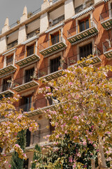 Fototapeta premium old houses in the city of valencia