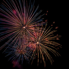 Fototapeta premium Fireworks in the night sky celebrating the New Year.