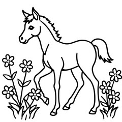 Fototapeta premium black horse vector illustration