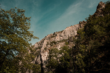 Steep Limestone Cliff Face Overgrown with Forest under Dramatic Teal Sky