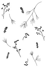 Elegant botanical line art featuring delicate branches and berries, perfect for modern design projects or adding a touch of nature inspired simplicity