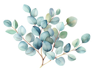 olive branch with leaves