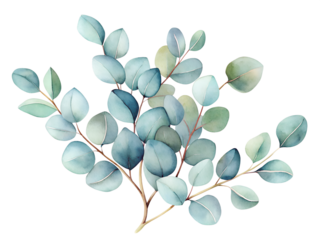 olive branch with leaves