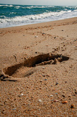 Deep Footprint in Sandy Beach Shoreline on a Sunny Day