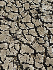 dry cracked earth