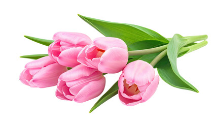 Close-up of a bouquet of four pink tulips