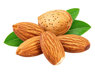 Close-up of several whole almonds nestled together, atop vibrant green leaves