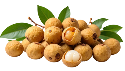 Cluster of ripe, light-brown fruits, some halved, with lush green leaves