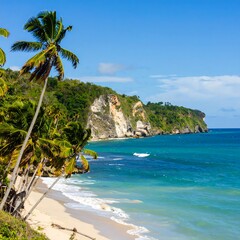 Coastal Scene Sandy Beach with Palm Trees and Cliffside