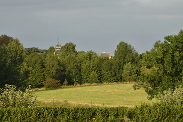 Lumière du coucher de soleil sur les prairies et bois à Écaussinnes d'Enghien (Soignies) 