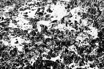 High Contrast Black and White Abstract Grunge Texture