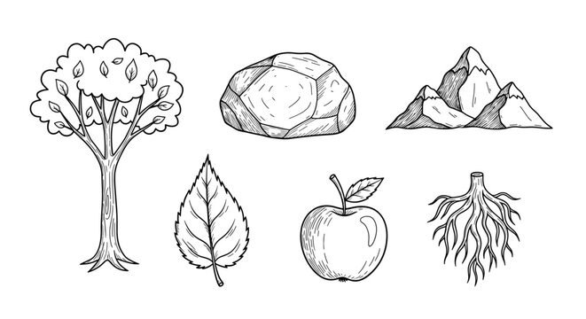 Nature Outlines: Hand-Drawn Illustration of Tree, Rock, Mountain, Apple, and Roots