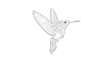 Fototapeta premium Geometric Hummingbird Illustration Soaring on White Background with Clean Lines