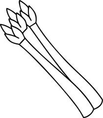Vector art of outline drawing of three asparagus spears