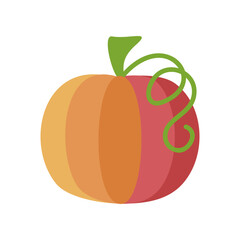 Autumn Harvest Pumpkin Vector icon