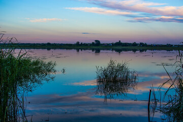 beautiful sunset on the lake