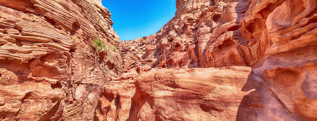 Scenic canyon landscape in the desert of South Sinai, Egypt