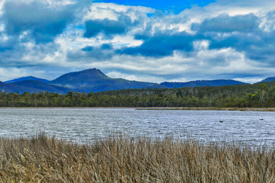 Landscape with lake, forest and hills in Winifred Curtis Reserve in Scamander, on the northeast coast of Tasmania, Australia
