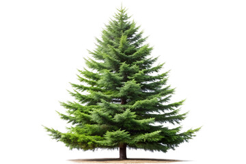 Fototapeta premium Lush green pine tree isolated on transparent background, perfect for holiday and naturethemed designs