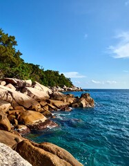 Coastal View with Rocks, Vegetation, and Turquoise Water