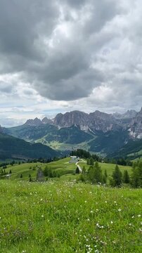alpine meadow in the alps, Corvara in Badia, Dolomites of Italy